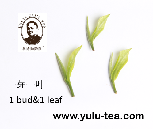 1 bud & 1 leaf  - Uncle Cai