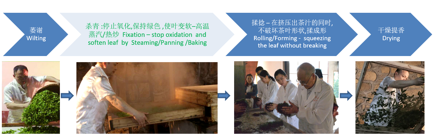 Uncle Cai tea making - enshi yulu